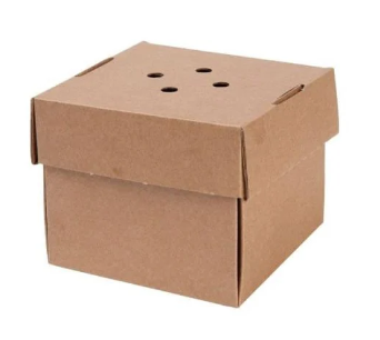 Corrugated Premium Burger Box